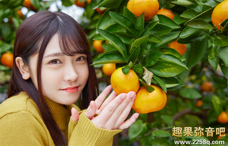 dced8d9c5e8c6c6.jpg插图(4)