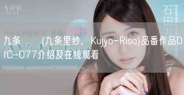 九条りさ(九条里纱，Kujyo-Risa)品番作品DIC-077介绍及在线观看